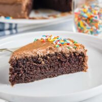 close up slice of cake