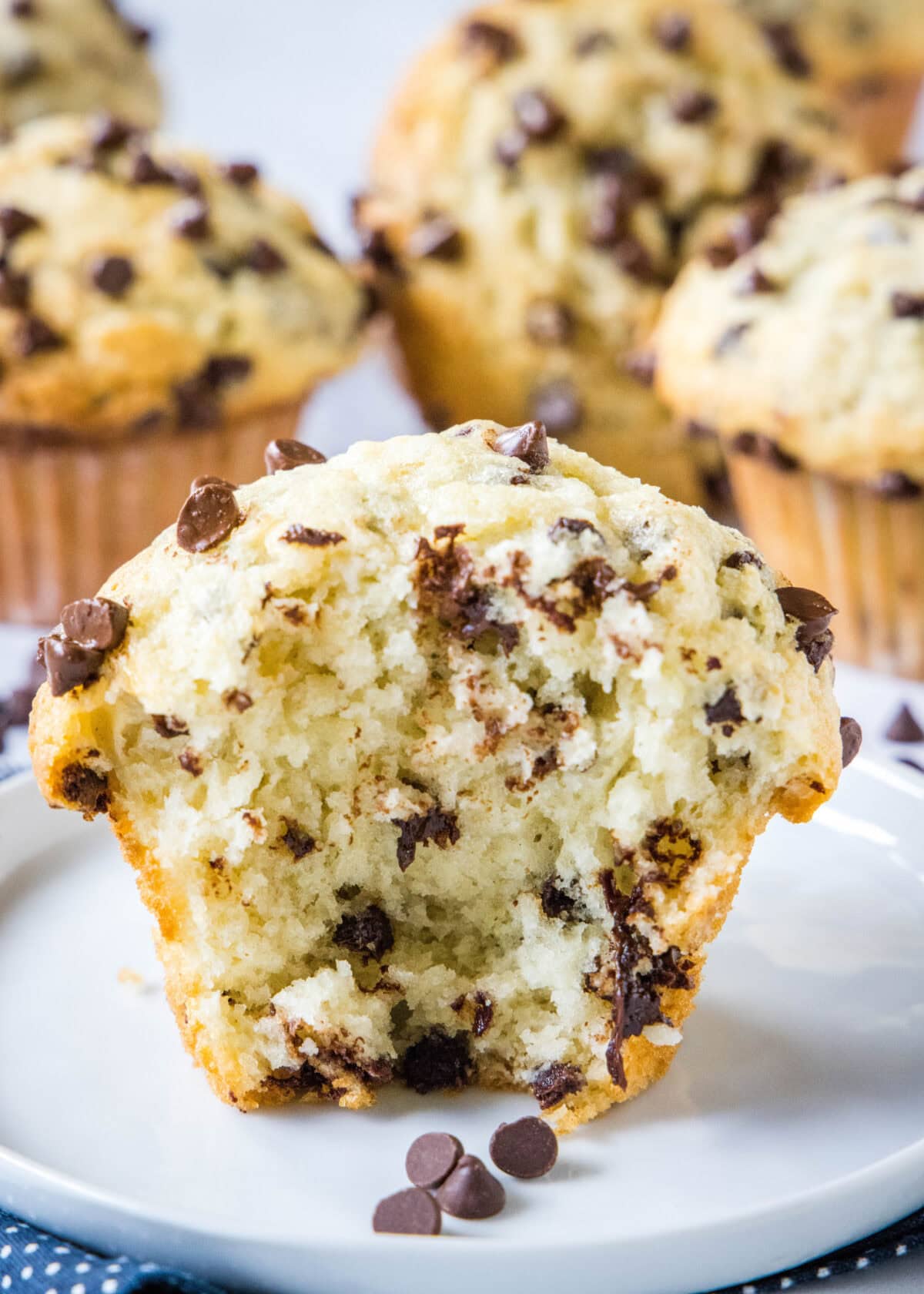 bakery style chocolate chip muffins cut in half on a white plate