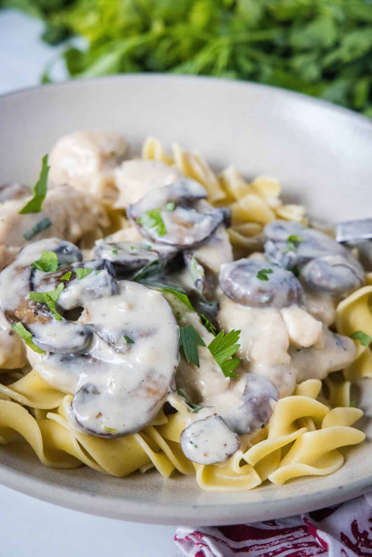 chicken stroganoff over egg noodles in a bowl