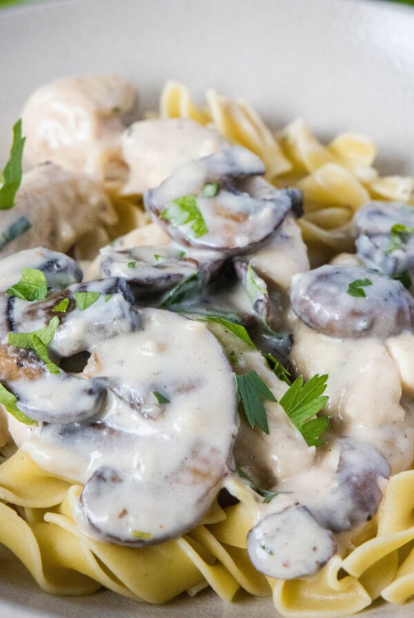 close up chicken stroganoff over noodles in a bowl