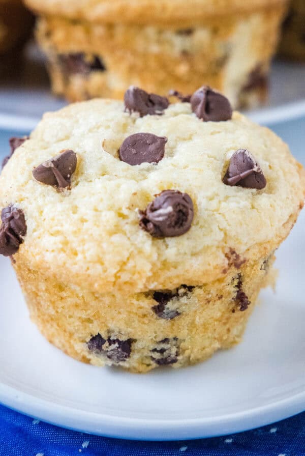 close up chocolate chip muffin on a white plate