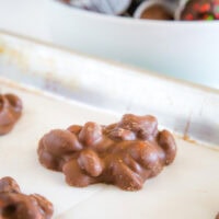 A chocolate peanut candy on a plate, with Peanut
