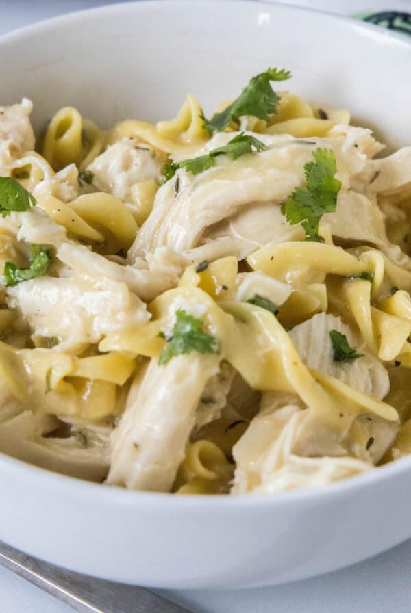 cropped close up crockpot chicken and noodles in a white bowl