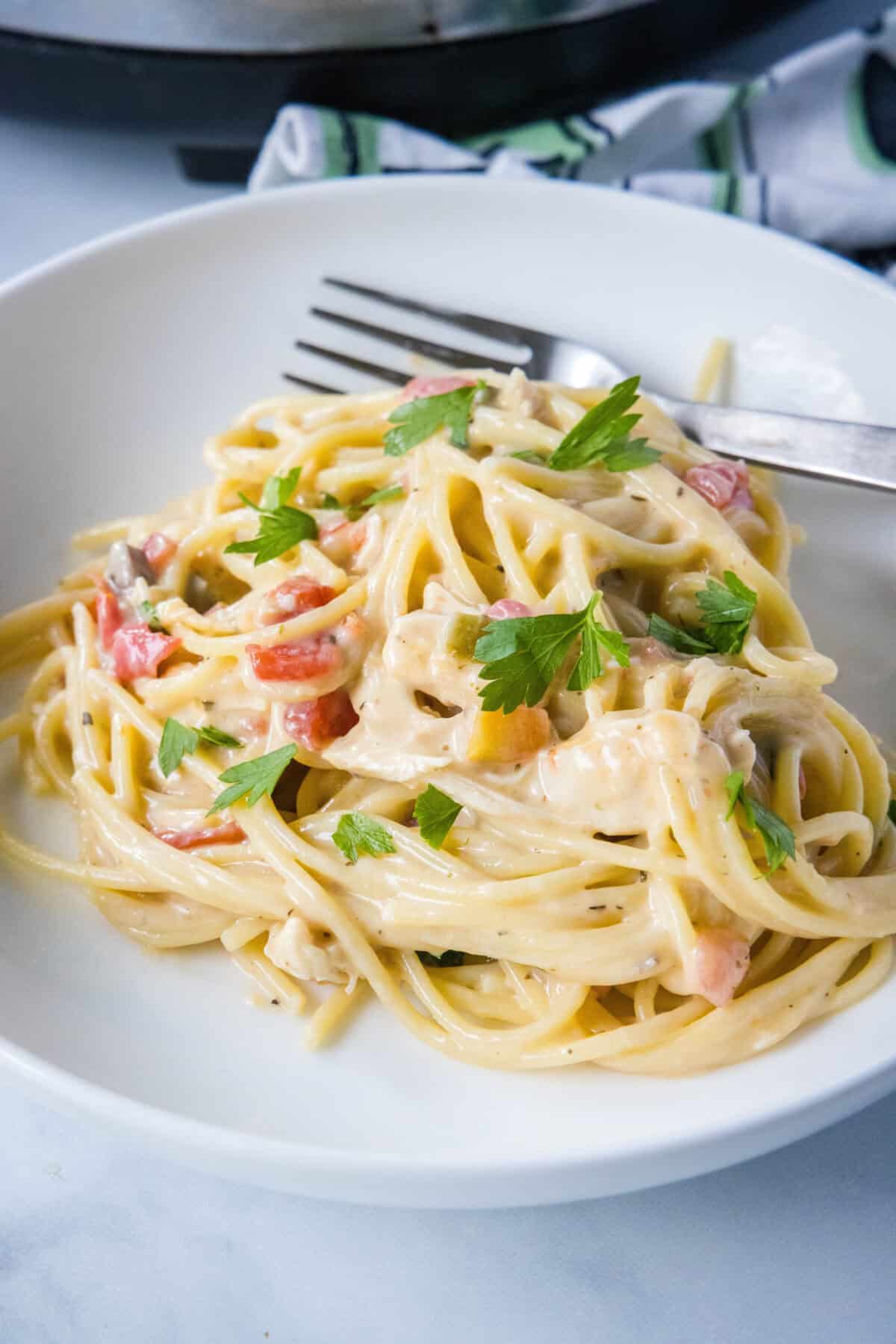 a white plate with chicken spaghetti