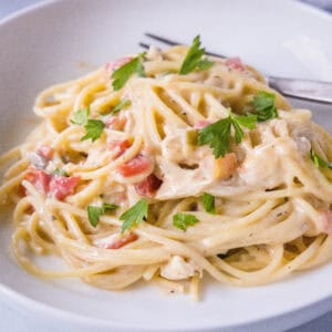 close up crockpot spaghetti in a plate