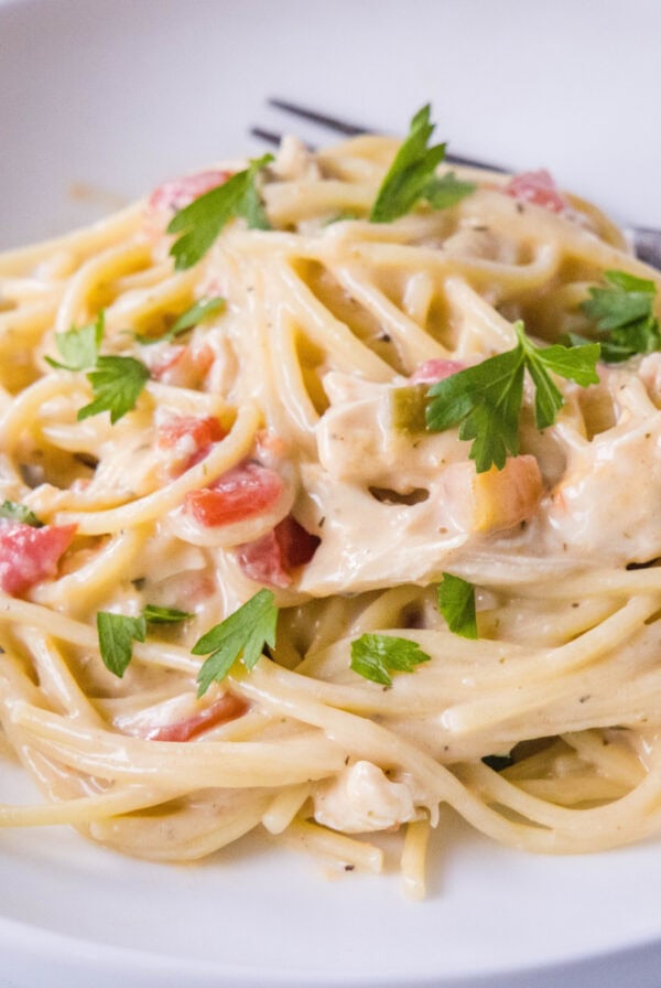 close up crockpot spaghetti in a plate