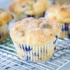 cropped close up of blueberry muffin on a cooling rack