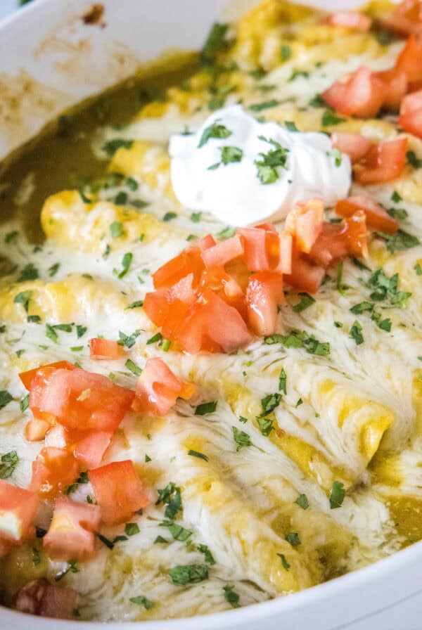cropped close up green chile chicken enchiladas in baking dish