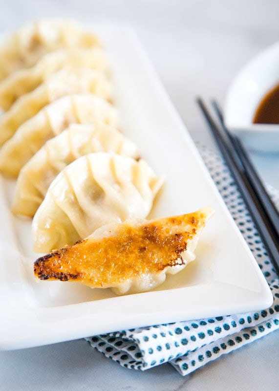 gyoza potstickers on a white plate
