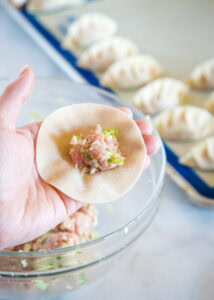 filling gyoza