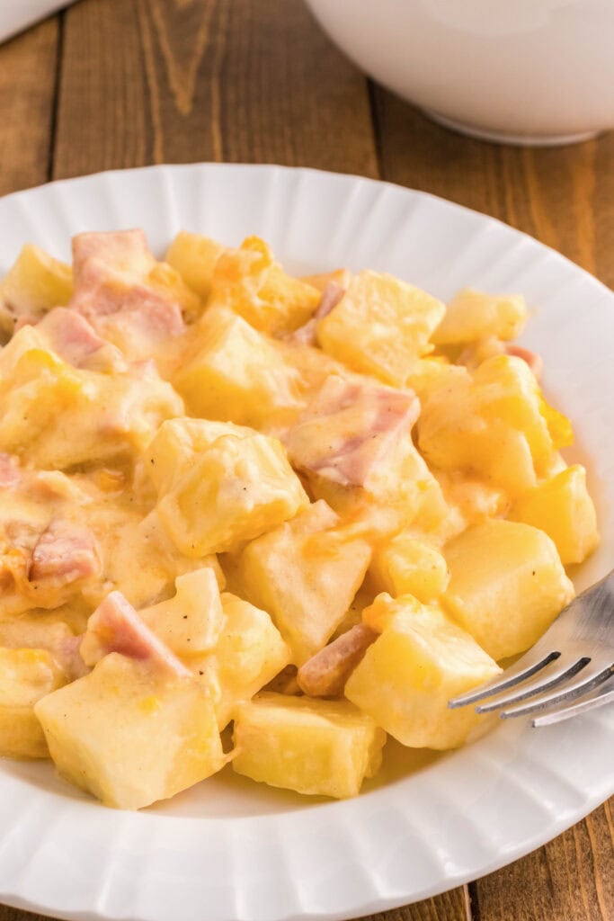 a white plate with cheesy ham and potato casserole