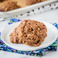 cropped close up of no bake cookies on a white plate