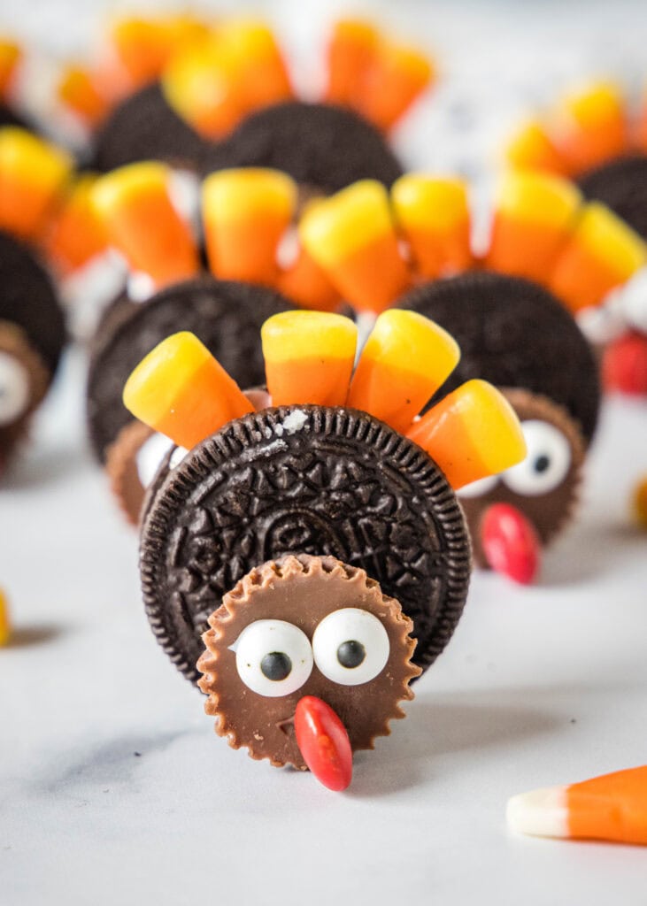 oreo turkey cookie standing up on a counter