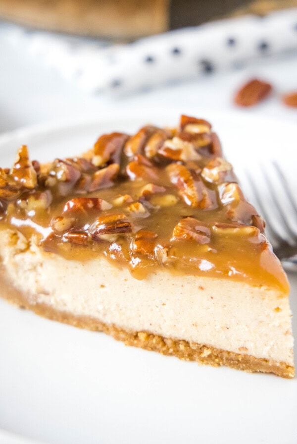 cropped in picture of pecan pie cheesecake