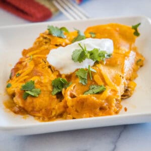close up pork enchiladas on a white plate