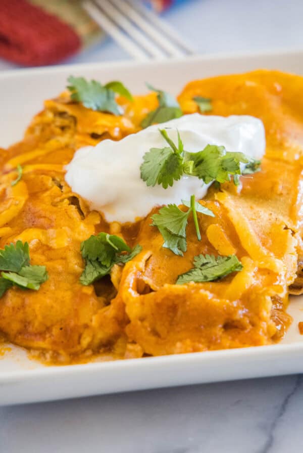 close up pork enchiladas on a white plate