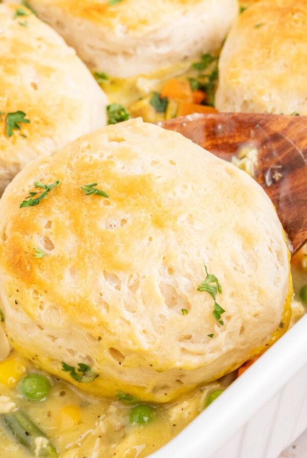 cropped close up chicken pot pie casserole