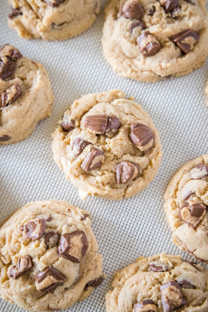 baked peanut butter cookies on a baking sheet