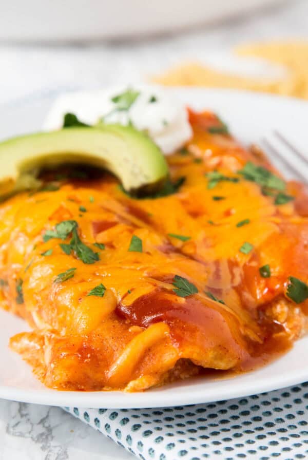 close up sour cream chicken enchilada