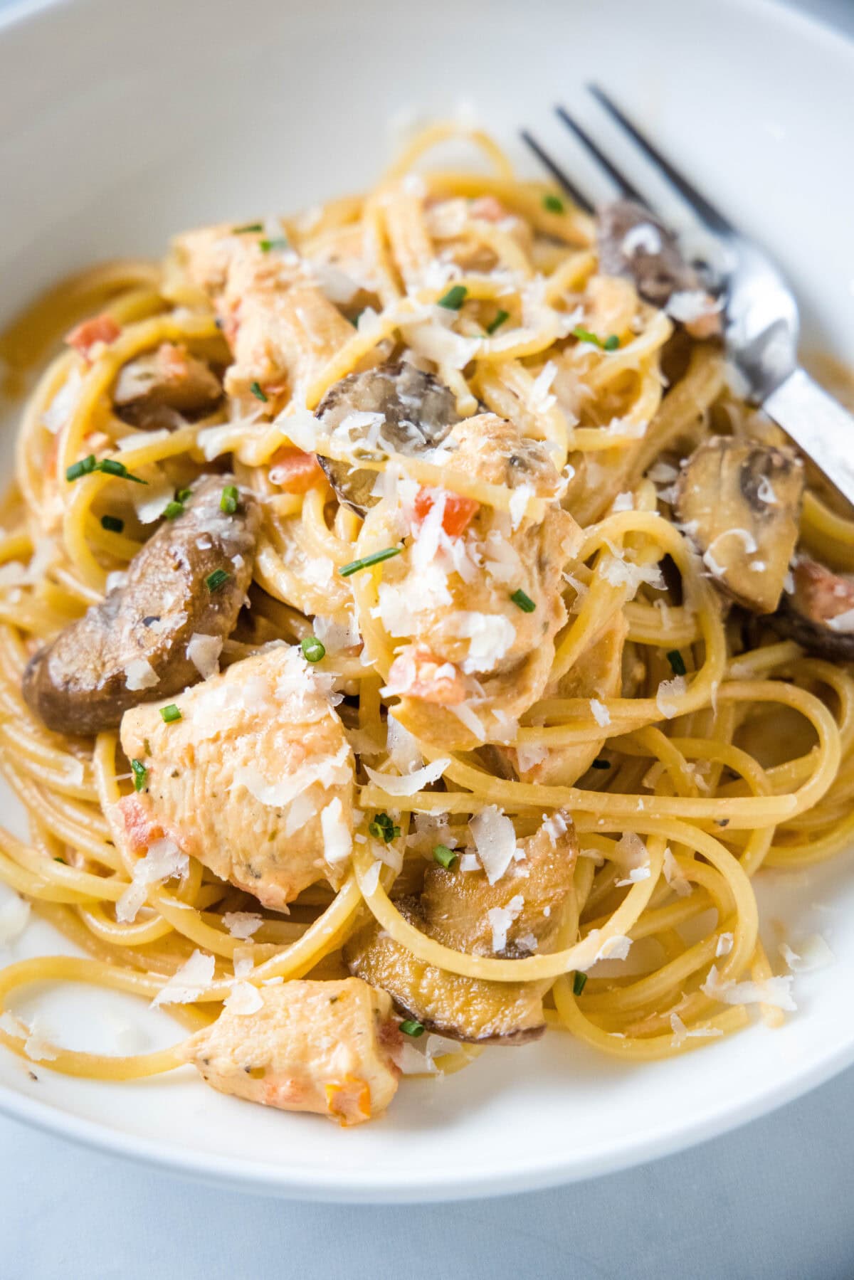 looking down on a plate of tuscan chicken pasta topped with parmesan cheese